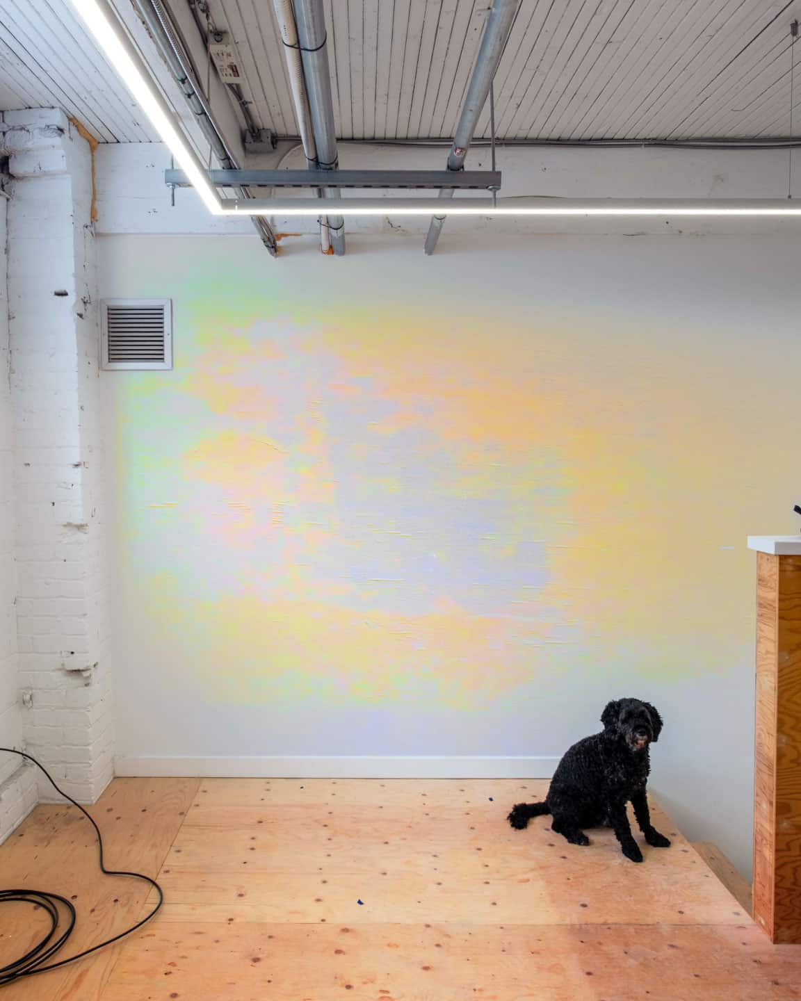 Alex Fischer, Ejected Bodies, 2025-08-26