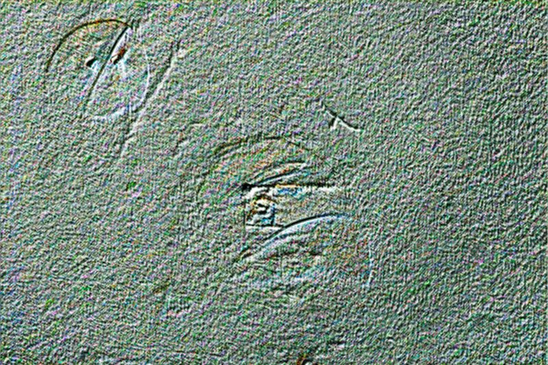 250819 ejected bodies Untitled-1